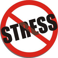 The Science and Effects of Stress and How to Deal with IT!