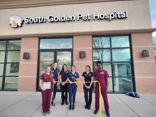 South Golden Pet Hospital